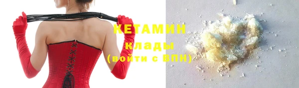 шишки Аркадак
