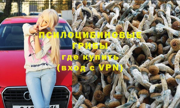шишки Аркадак