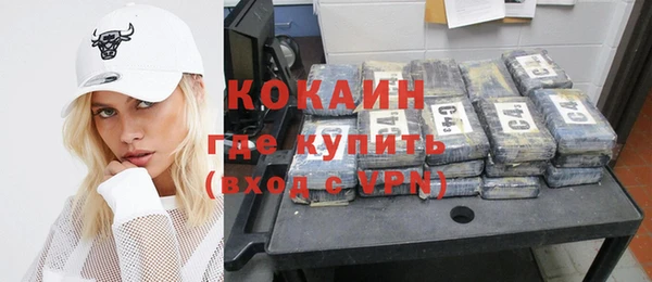 шишки Аркадак
