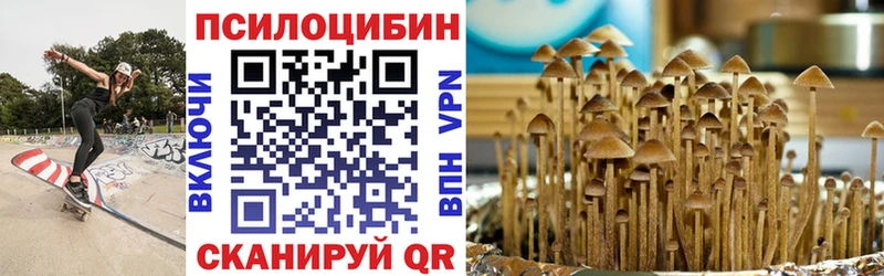 Псилоцибиновые грибы ЛСД  Купить где  Асино 