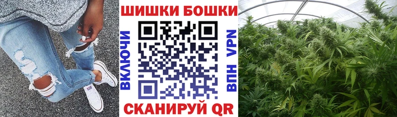 Бошки марихуана THC 21%  Купить  Асино 